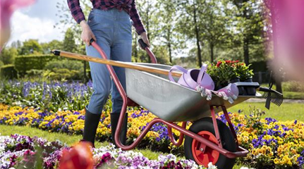 Frau bei der Gartenarbeit (GS619850.jpg)